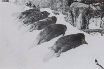 RC 2015.0.2.1 Bishop Interview Image Number 80